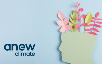 Anew Climate Mental Health Fund